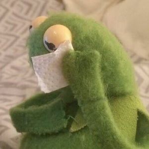 Meet your Posher, Daisy